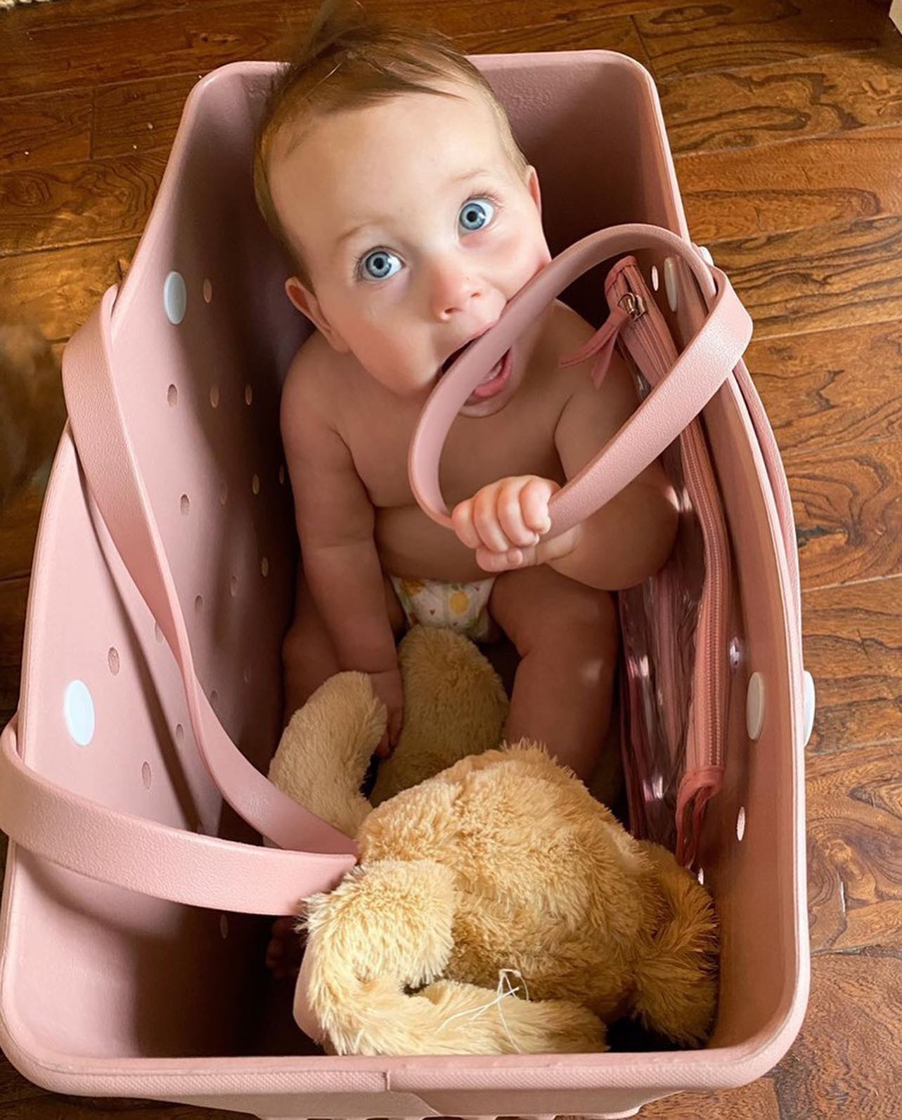 Rigid Beach Bag - Colorful Design and Large Capacity