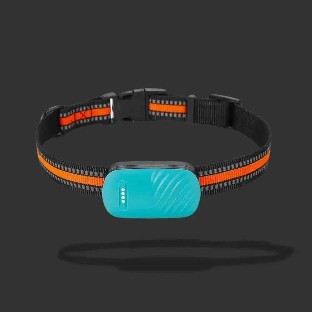 GPS sledovací obojok pre mačky – lokalizácia a každodenné pohodlie