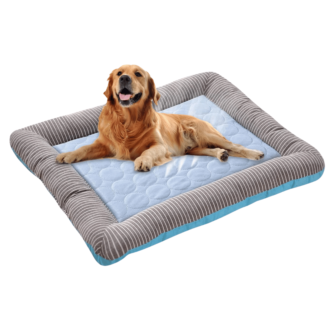 Kjølende Hundepute – Friskhet og Komfort Om Sommeren