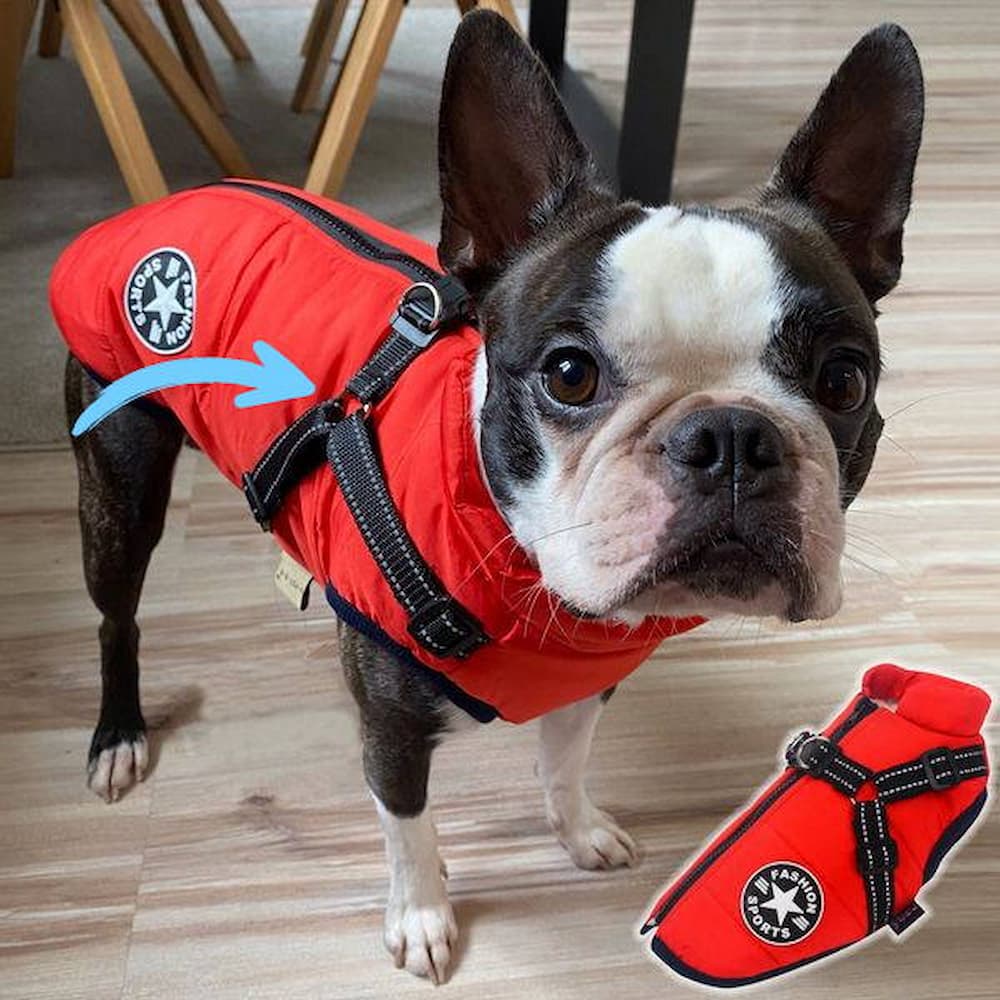 Wodoodporna Kurtka dla Psa - Ochrona i Styl