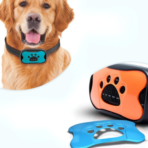 Collier Anti-Aboiement Pour Chien — Dressage Doux Et Efficace