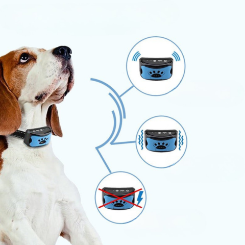 Collier Anti-Aboiement Pour Chien — Dressage Doux Et Efficace