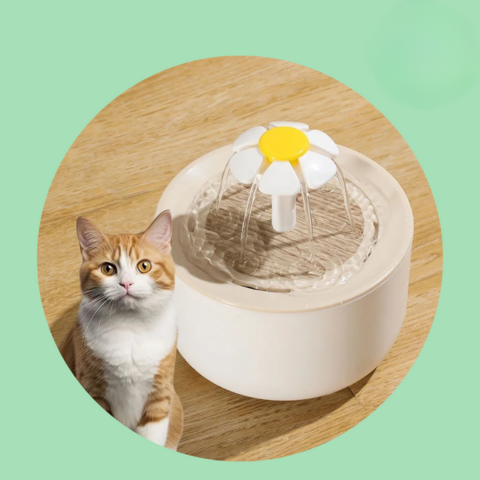 מזרקת מים לחתולים — הידרציה מתמשכת ומים תמיד טריים