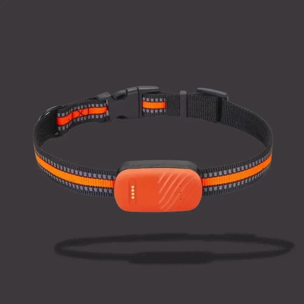 GPS sledovací obojok pre mačky – lokalizácia a každodenné pohodlie