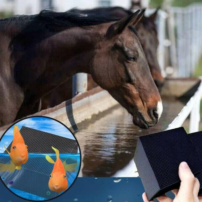 Cube Purificateur D’Eau Pour Animaux – Eau Claire Et Saine Au Quotidien