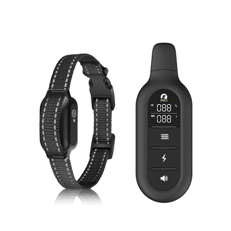 طوق تدريب مع جهاز تحكم عن بُعد - تعليم فعال