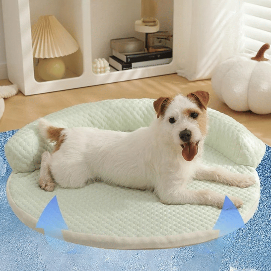 Covor Răcoritor Rotund – Cu Zonă De Odihnă Ridicată 