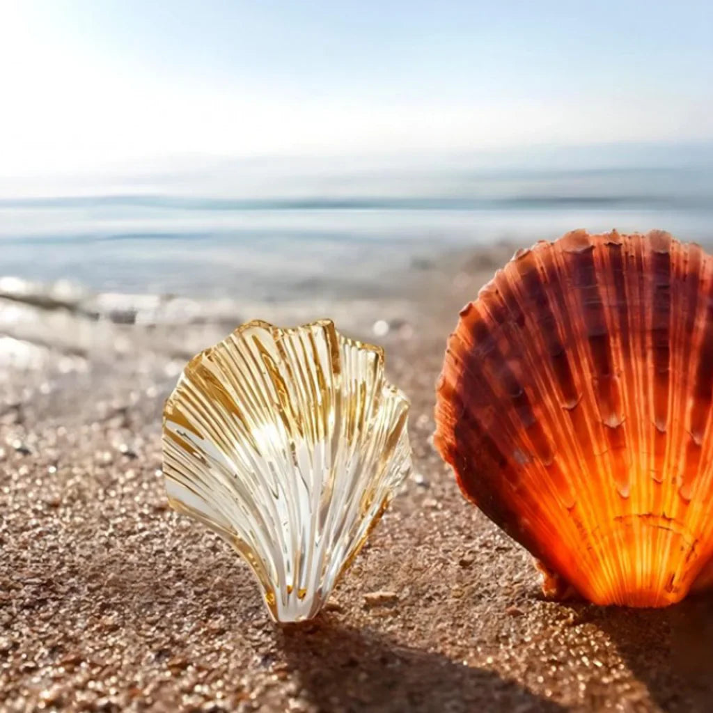 Applique Murale Conchiglia – Illuminazione Elegante e Marinara 