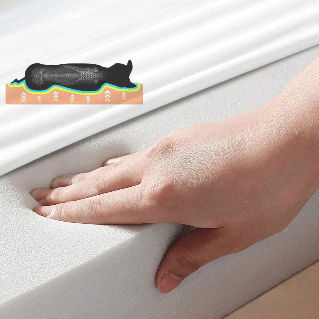 Hundsäng Komfort – Ideal för Vila och Återhämtning 