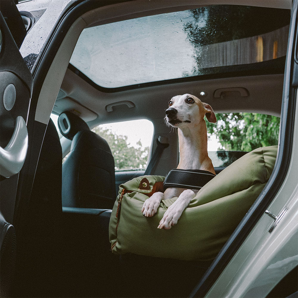 Autosedačka pre psa – Pohodlie a ochrana 