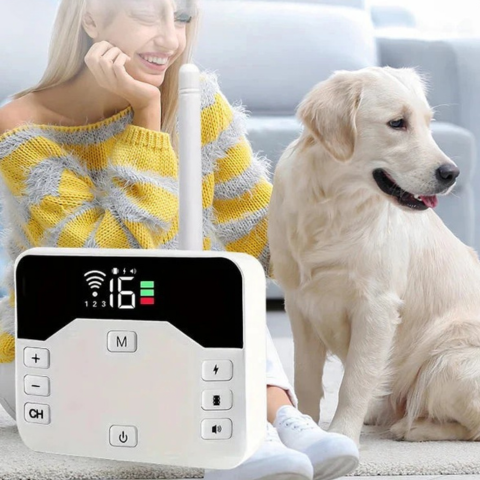 Drahtlose Zaun mit Trainingshalsband – Sicherheit und Erziehung für Hunde 