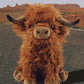 Cow Plush din Highlands Scottish